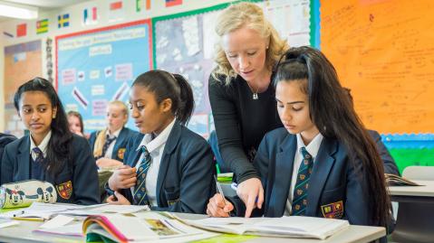 Support school senior leaders and senior leadership team to drive school improvement. School leaders support